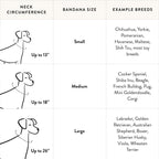 Peaches and Cream Dog Bandana